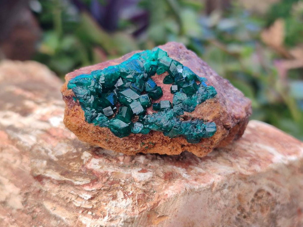 Natural Dioptase Crystals on Dolomite Matrix Specimens x 6 From Likasi, Congo - Toprock Gemstones and Minerals 