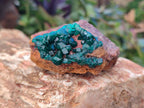 Natural Dioptase Crystals on Dolomite Matrix Specimens x 6 From Likasi, Congo - Toprock Gemstones and Minerals 