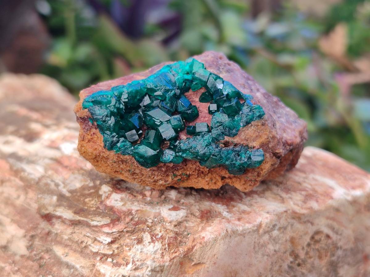 Natural Dioptase Crystals on Dolomite Matrix Specimens x 6 From Likasi, Congo - Toprock Gemstones and Minerals 
