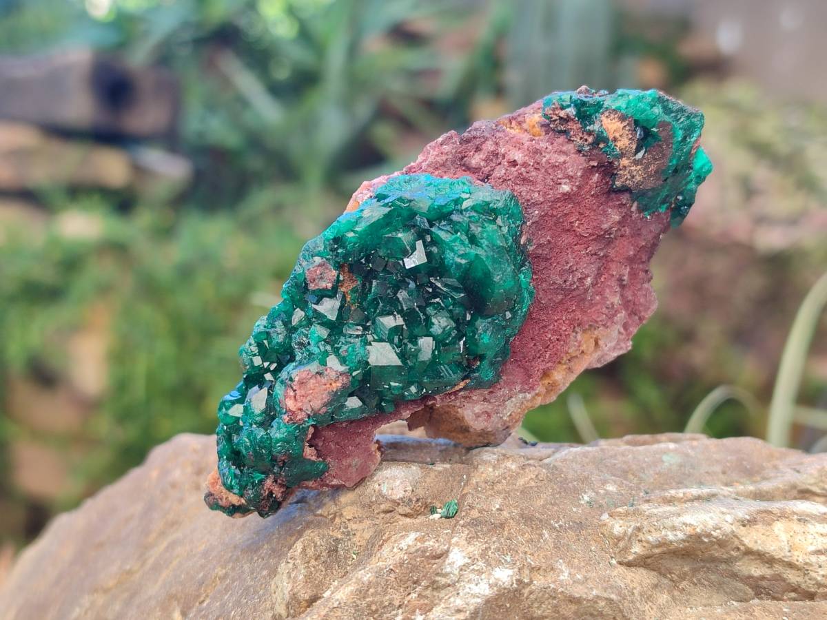 Natural Dioptase Crystals on Dolomite Matrix Specimens x 6 From Likasi, Congo - Toprock Gemstones and Minerals 