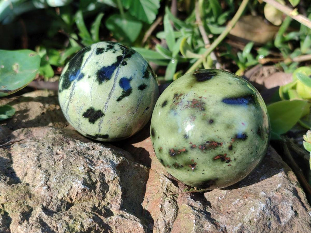 Polished Leopard Stone Spheres x 7 From Nyanga, Zimbabwe - Toprock Gemstones and Minerals 
