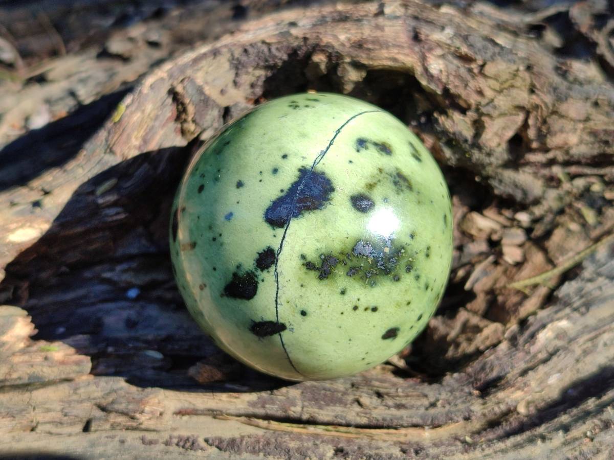 Polished Leopard Stone Spheres x 7 From Nyanga, Zimbabwe - Toprock Gemstones and Minerals 