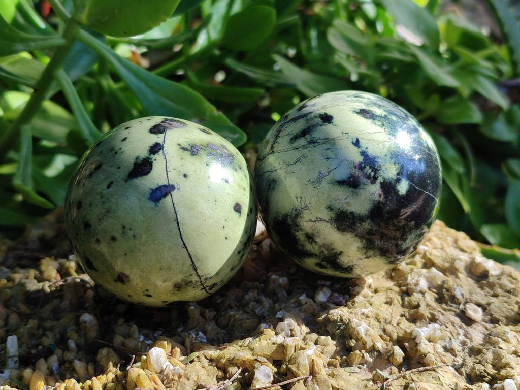 Polished Leopard Stone Spheres x 7 From Nyanga, Zimbabwe - Toprock Gemstones and Minerals 