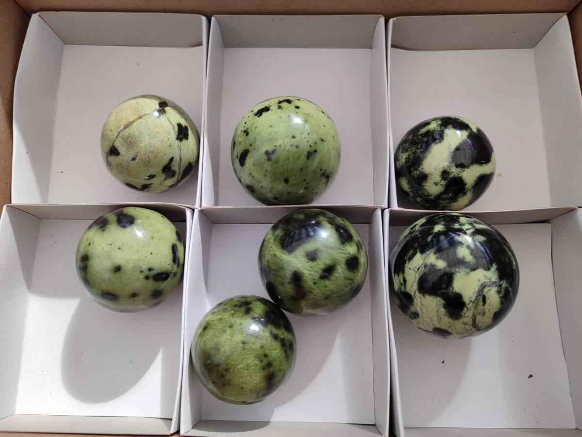 Polished Leopard Stone Spheres x 7 From Nyanga, Zimbabwe - Toprock Gemstones and Minerals 