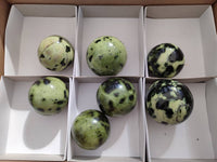 Polished Leopard Stone Spheres x 7 From Nyanga, Zimbabwe - Toprock Gemstones and Minerals 