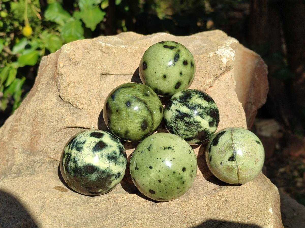 Polished Leopard Stone Spheres x 7 From Nyanga, Zimbabwe - Toprock Gemstones and Minerals 