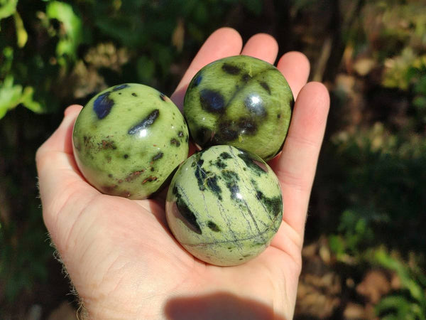 Polished Leopard Stone Spheres x 7 From Nyanga, Zimbabwe