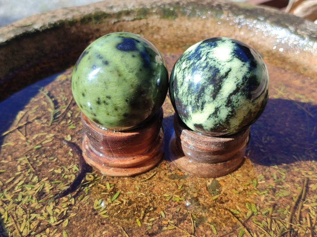 Polished Leopard Stone Spheres x 7 From Nyanga, Zimbabwe - Toprock Gemstones and Minerals 