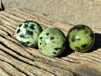 Polished Leopard Stone Spheres x 7 From Nyanga, Zimbabwe - Toprock Gemstones and Minerals 