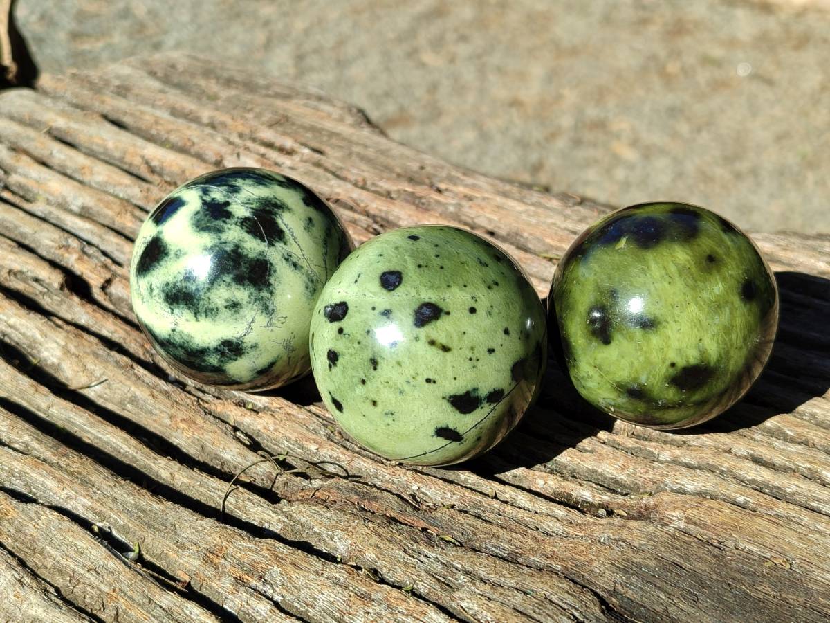 Polished Leopard Stone Spheres x 7 From Nyanga, Zimbabwe - Toprock Gemstones and Minerals 