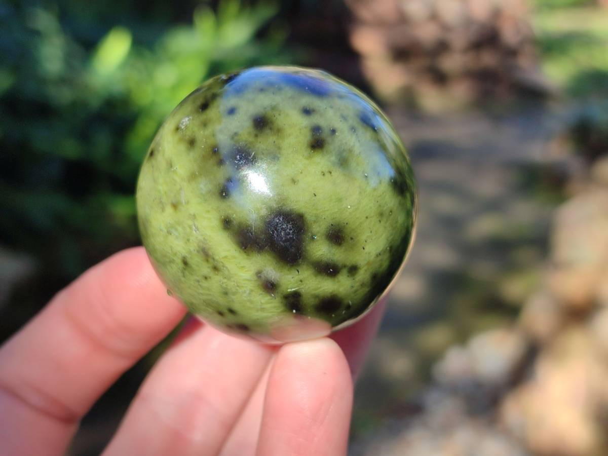 Polished Leopard Stone Spheres x 7 From Nyanga, Zimbabwe - Toprock Gemstones and Minerals 