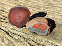 Polished On One Side Red Sashe River Agate Nodules x 20 From Zimbabwe - Toprock Gemstones and Minerals 