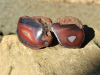 Polished On One Side Red Sashe River Agate Nodules x 20 From Zimbabwe - Toprock Gemstones and Minerals 