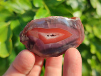 Polished On One Side Red Sashe River Agate Nodules x 20 From Zimbabwe - Toprock Gemstones and Minerals 