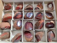 Polished On One Side Red Sashe River Agate Nodules x 20 From Zimbabwe - Toprock Gemstones and Minerals 