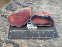 Polished On One Side Red Sashe River Agate Nodules x 20 From Zimbabwe - Toprock Gemstones and Minerals 