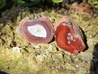Polished On One Side Red Sashe River Agate Nodules x 20 From Zimbabwe - Toprock Gemstones and Minerals 