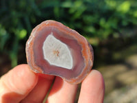 Polished On One Side Red Sashe River Agate Nodules x 20 From Zimbabwe - Toprock Gemstones and Minerals 
