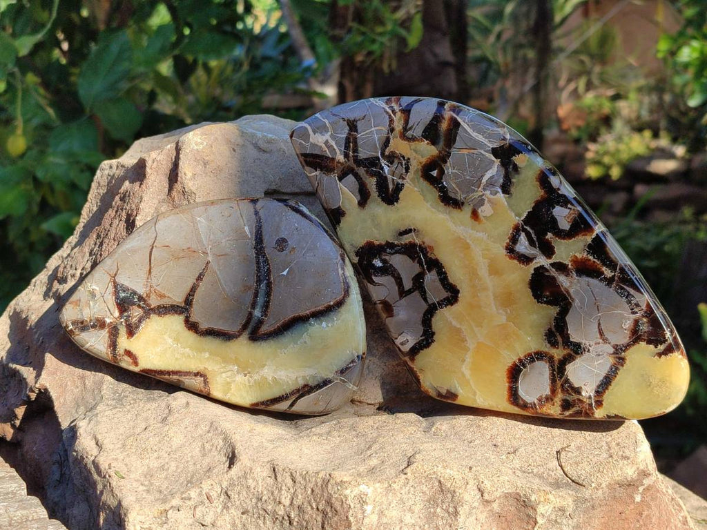Polished Septerye Slices x 4 From Madagascar - Toprock Gemstones and Minerals 