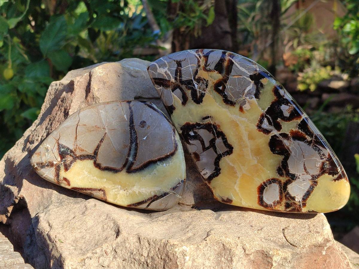 Polished Septerye Slices x 4 From Madagascar - Toprock Gemstones and Minerals 