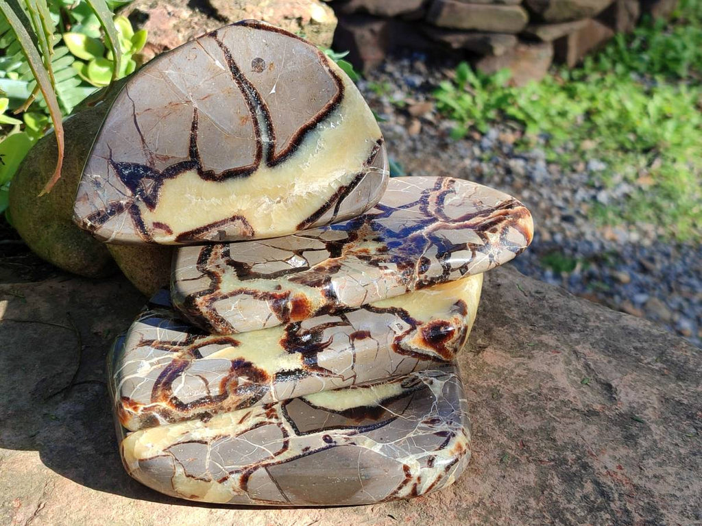 Polished Septerye Slices x 4 From Madagascar - Toprock Gemstones and Minerals 