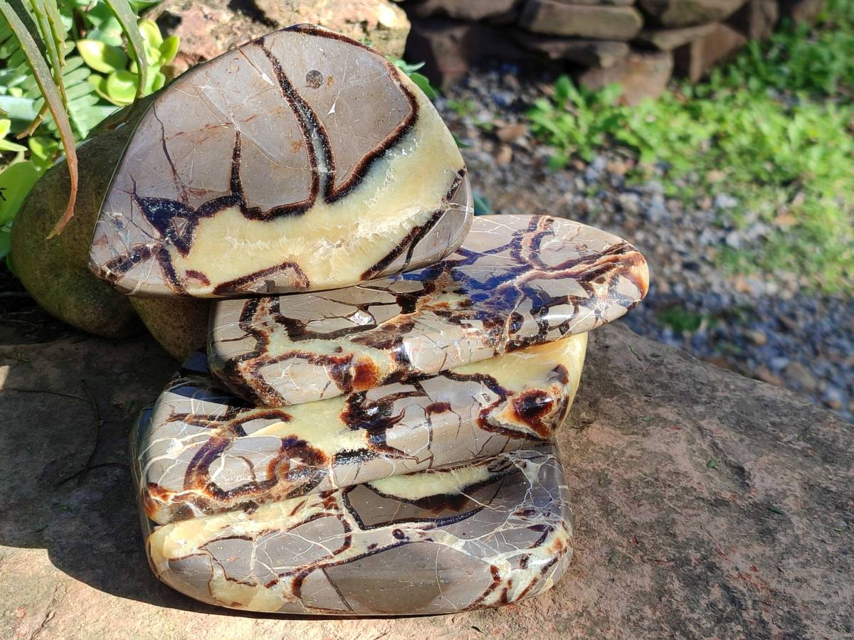 Polished Septerye Slices x 4 From Madagascar - Toprock Gemstones and Minerals 