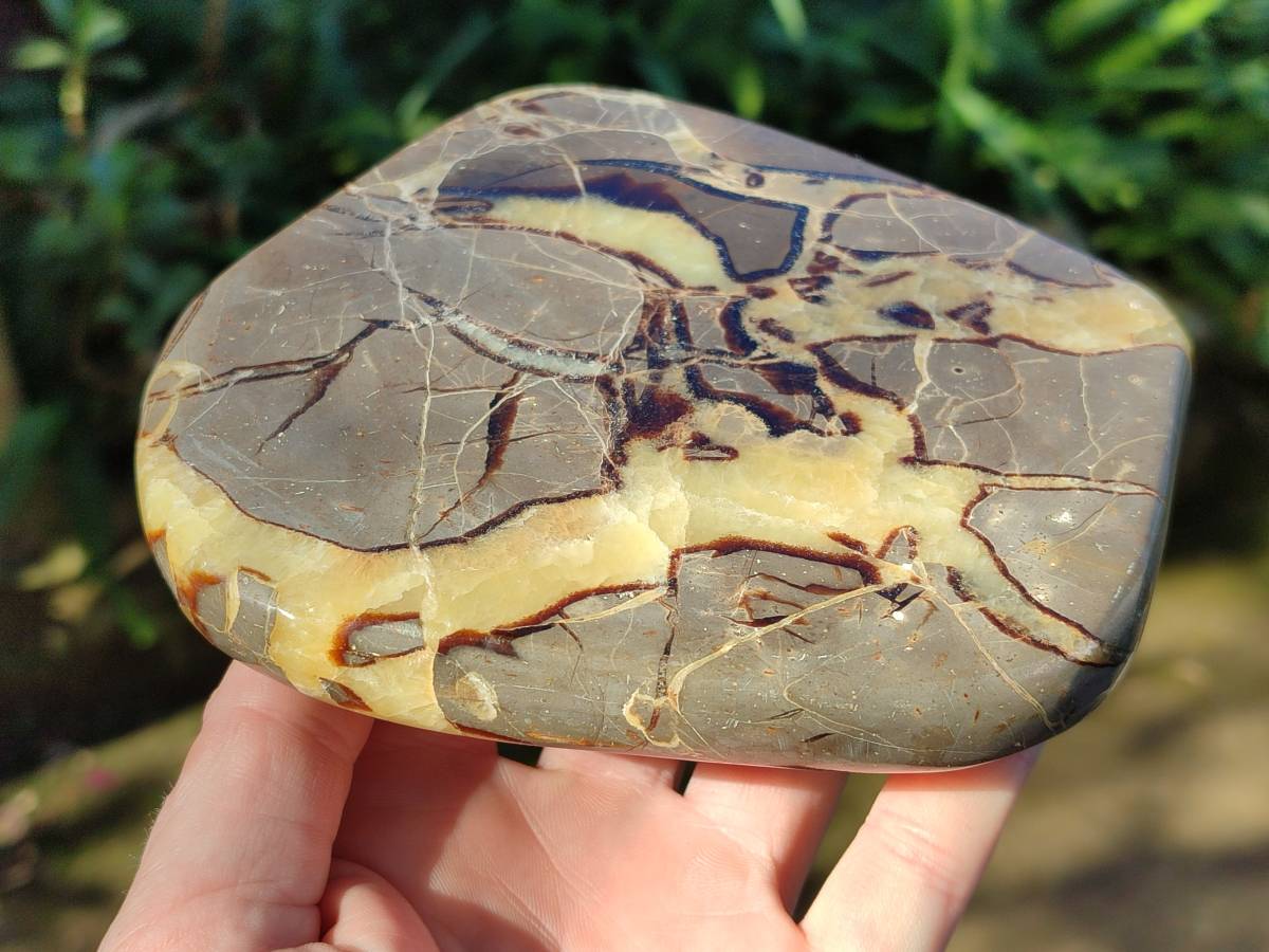 Polished Septerye Slices x 4 From Madagascar - Toprock Gemstones and Minerals 