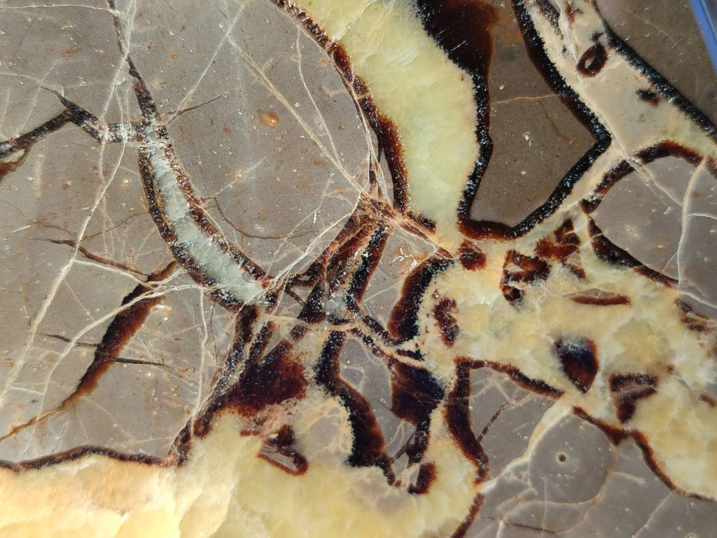 Polished Septerye Slices x 4 From Madagascar - Toprock Gemstones and Minerals 