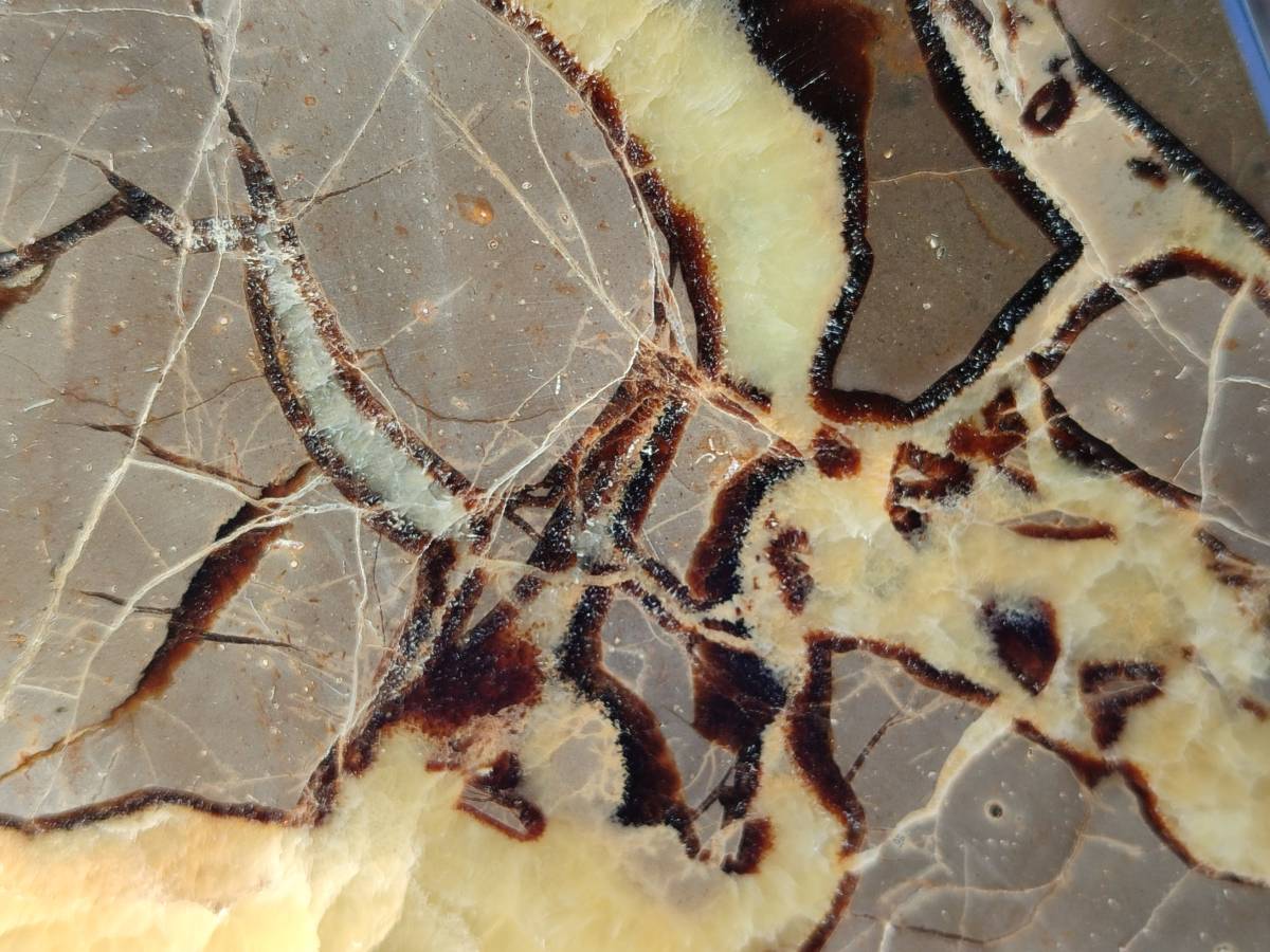 Polished Septerye Slices x 4 From Madagascar - Toprock Gemstones and Minerals 