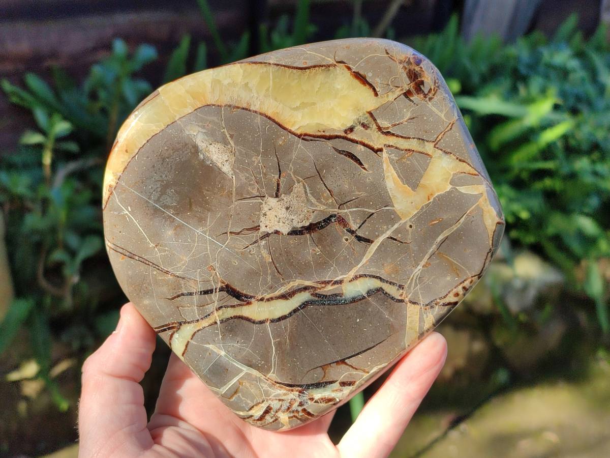 Polished Septerye Slices x 4 From Madagascar - Toprock Gemstones and Minerals 