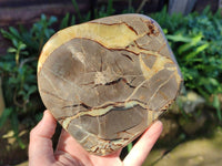 Polished Septerye Slices x 4 From Madagascar - Toprock Gemstones and Minerals 
