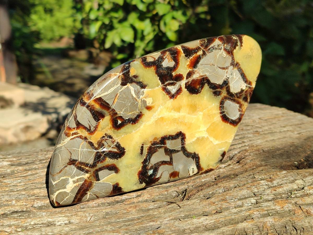 Polished Septerye Slices x 4 From Madagascar - Toprock Gemstones and Minerals 