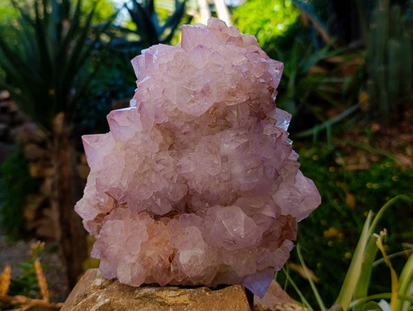 Natural A Grade Sunburst Amethyst Spirit Quartz Cluster x 1 From Boekenhouthoek, South Africa