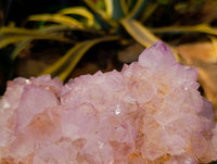 Natural A Grade Sunburst Amethyst Spirit Quartz Cluster x 1 From Boekenhouthoek, South Africa