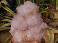 Natural A Grade Sunburst Amethyst Spirit Quartz Cluster x 1 From Boekenhouthoek, South Africa