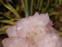Natural A Grade Sunburst Amethyst Spirit Quartz Cluster x 1 From Boekenhouthoek, South Africa