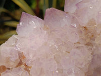 Natural A Grade Sunburst Amethyst Spirit Quartz Cluster x 1 From Boekenhouthoek, South Africa