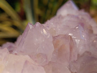 Natural A Grade Sunburst Amethyst Spirit Quartz Cluster x 1 From Boekenhouthoek, South Africa