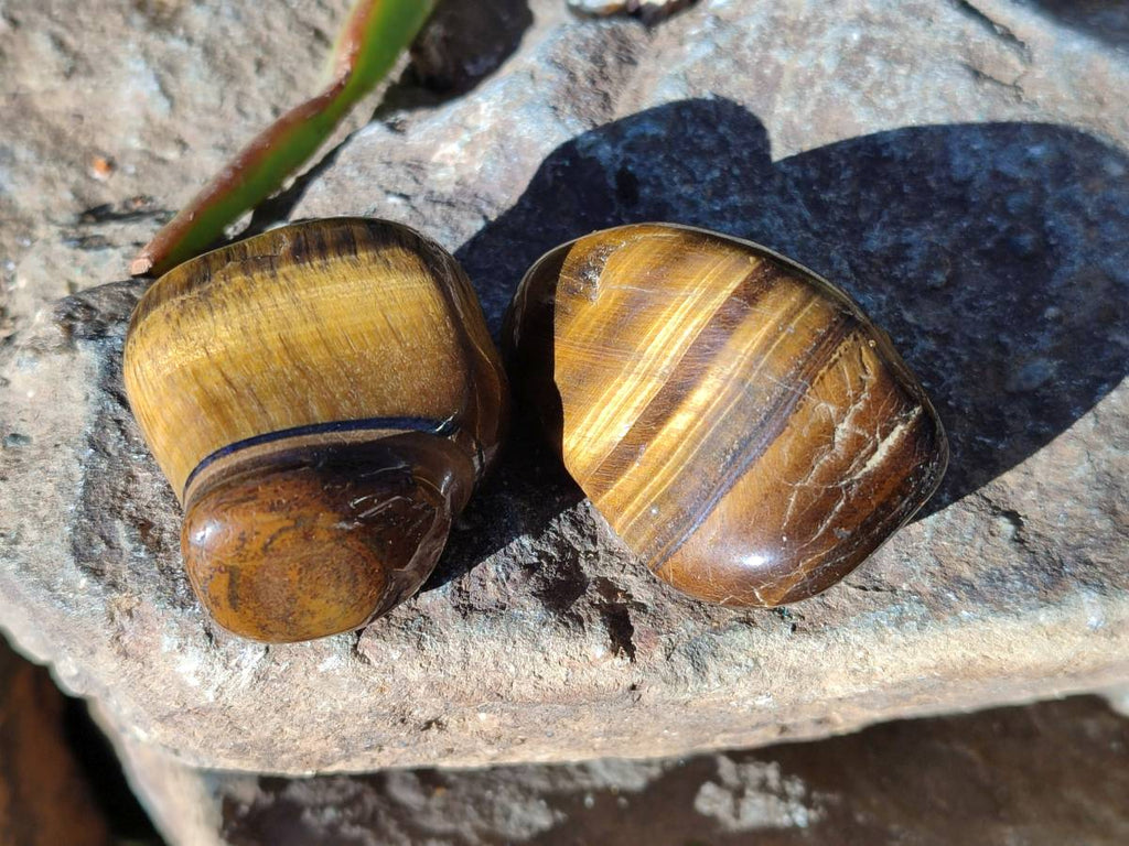 Polished Tiger's Eye Tumbled Stones x 35 From Prieska, South Africa - Toprock Gemstones and Minerals 