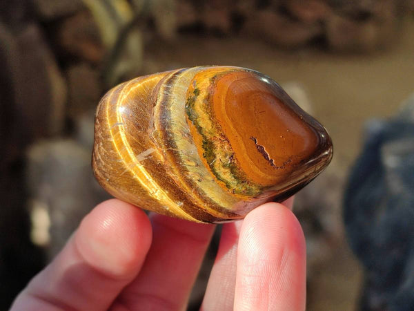 Polished Tiger's Eye Tumbled Stones x 35 From Prieska, South Africa - Toprock Gemstones and Minerals 