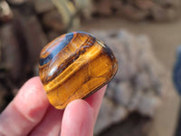 Polished Tiger's Eye Tumbled Stones x 35 From Prieska, South Africa - Toprock Gemstones and Minerals 