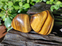 Polished Tiger's Eye Tumbled Stones x 35 From Prieska, South Africa - Toprock Gemstones and Minerals 