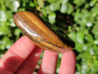 Polished Tiger's Eye Tumbled Stones x 35 From Prieska, South Africa - Toprock Gemstones and Minerals 