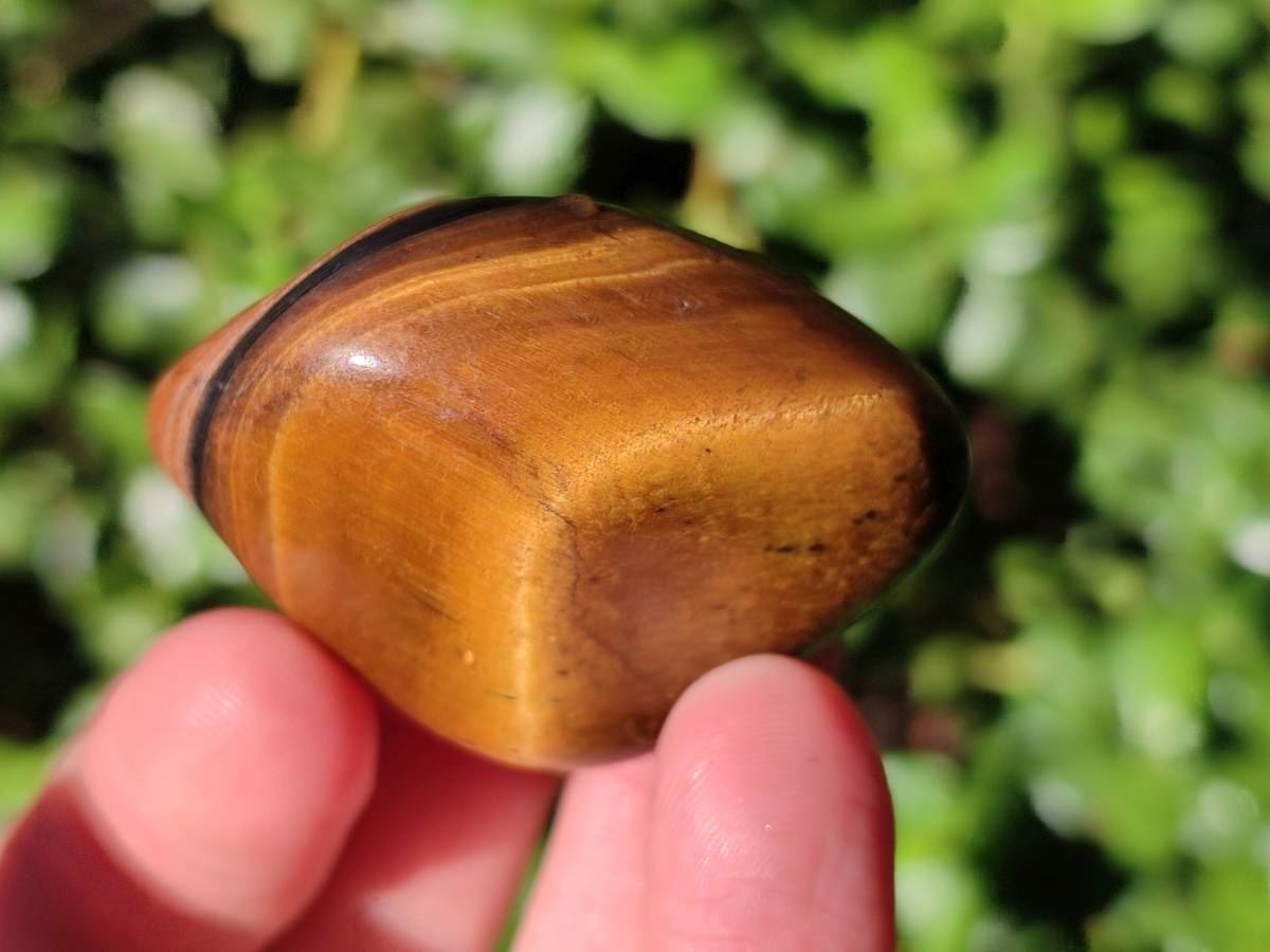 Polished Tiger's Eye Tumbled Stones x 35 From Prieska, South Africa - Toprock Gemstones and Minerals 