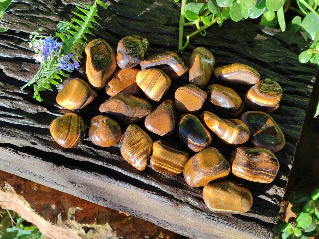 Polished Tiger's Eye Tumbled Stones x 35 From Prieska, South Africa - Toprock Gemstones and Minerals 
