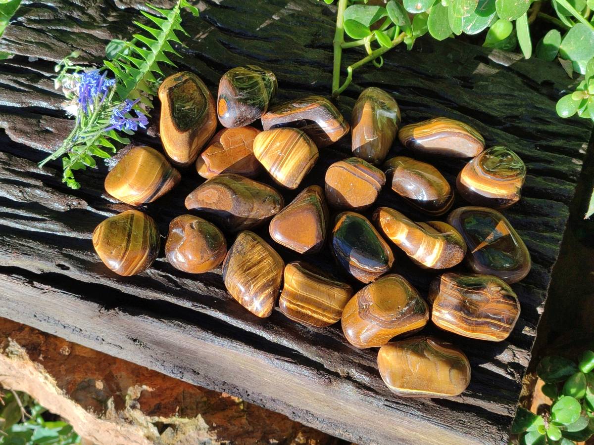 Polished Tiger's Eye Tumbled Stones x 35 From Prieska, South Africa - Toprock Gemstones and Minerals 