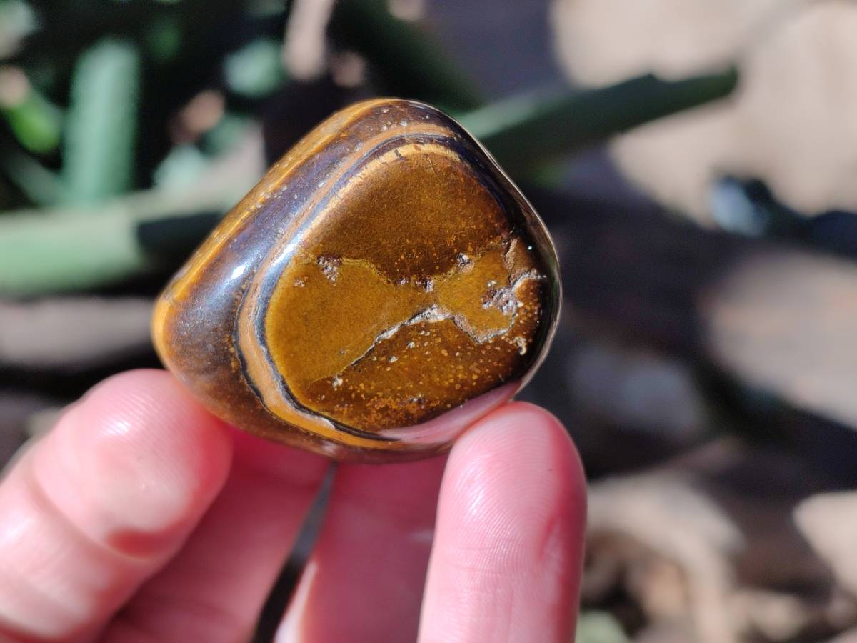 Polished Tiger's Eye Tumbled Stones x 35 From Prieska, South Africa - Toprock Gemstones and Minerals 