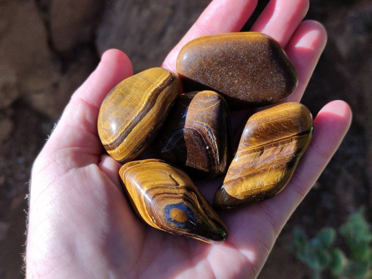 Polished Tiger's Eye Tumbled Stones x 35 From Prieska, South Africa - Toprock Gemstones and Minerals 