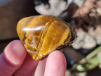 Polished Tiger's Eye Tumbled Stones x 35 From Prieska, South Africa - Toprock Gemstones and Minerals 