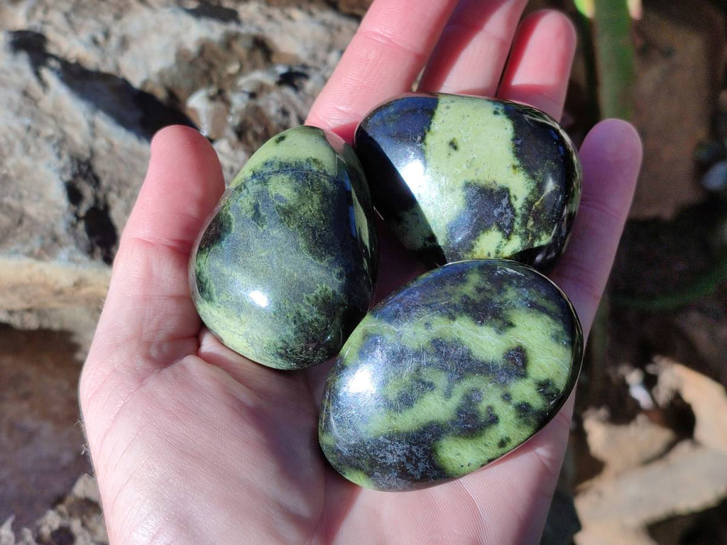 Polished Leopard Stone Free Forms x 12 From Nyanga, Zimbabwe - Toprock Gemstones and Minerals 